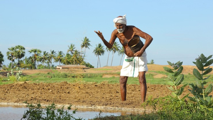 2021 Black Medusa 2021 Black Medusa