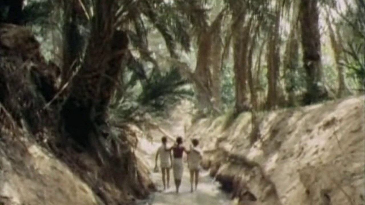 Sex Oasis