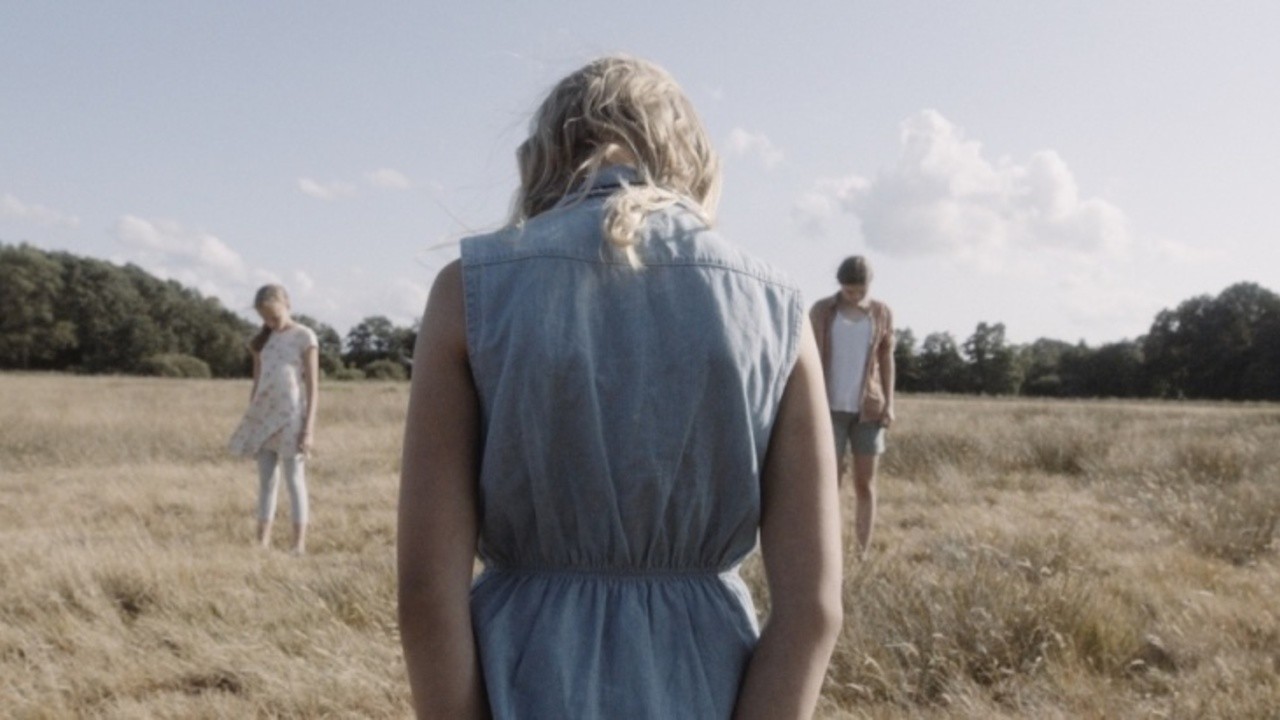 Hasen in einer Wiese