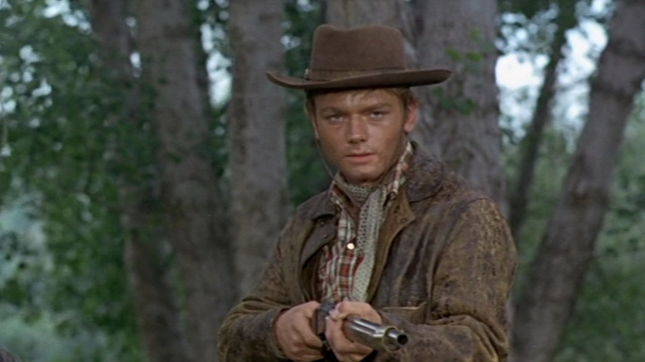 Image du film Furie au Missouri