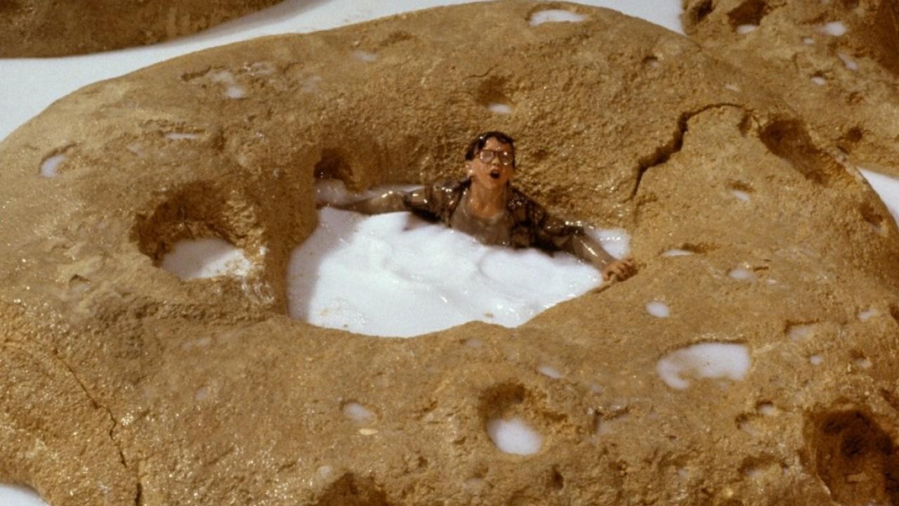 Image du film Chérie, j'ai rétréci les gosses