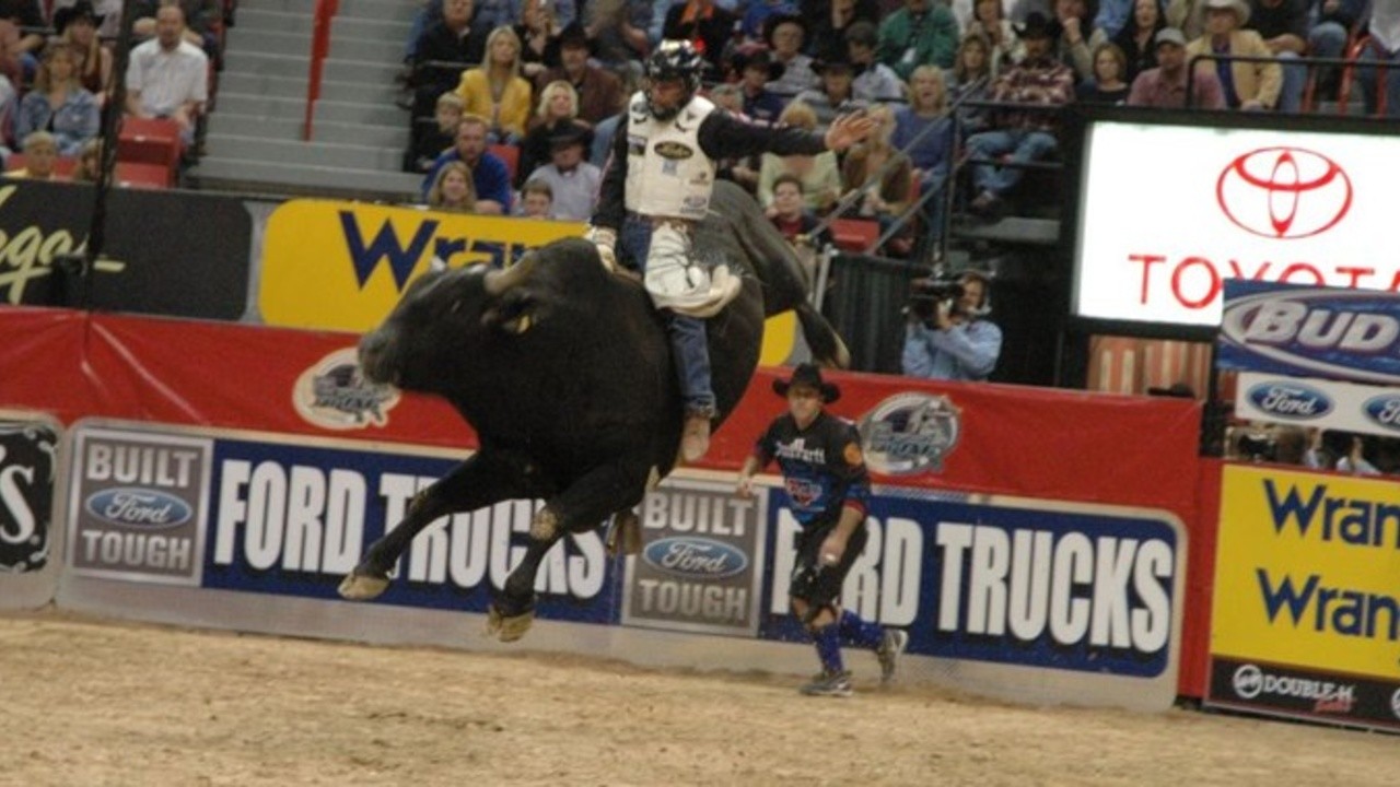 Bullrider