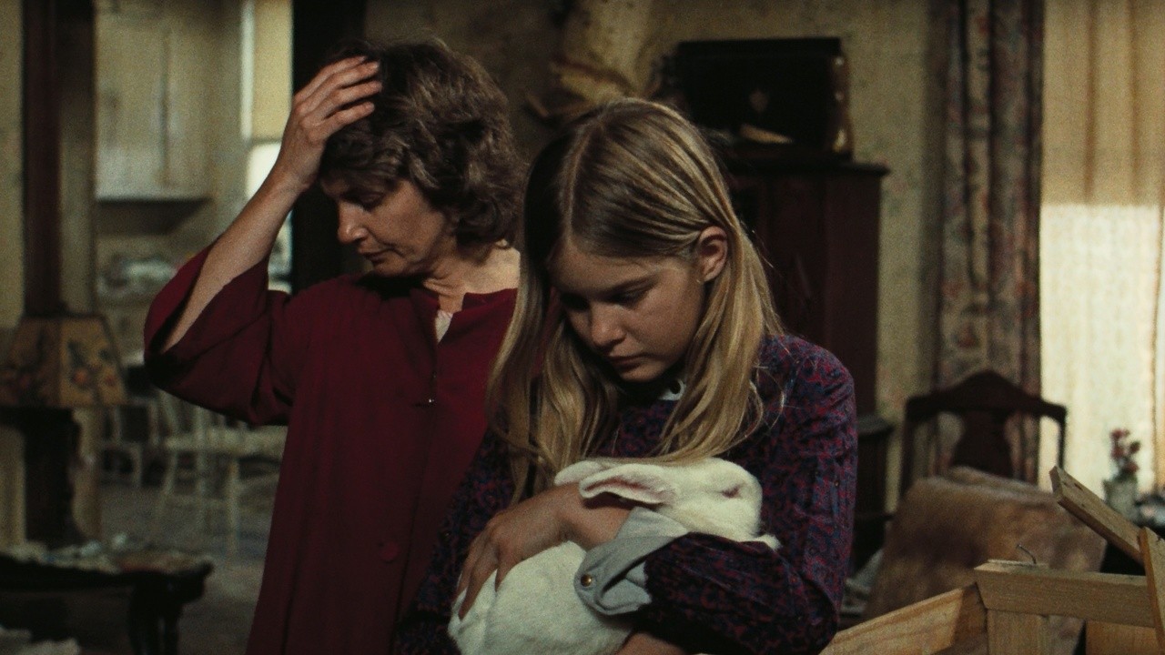 Image du film De l'influence des rayons gamma sur le comportement des marguerites