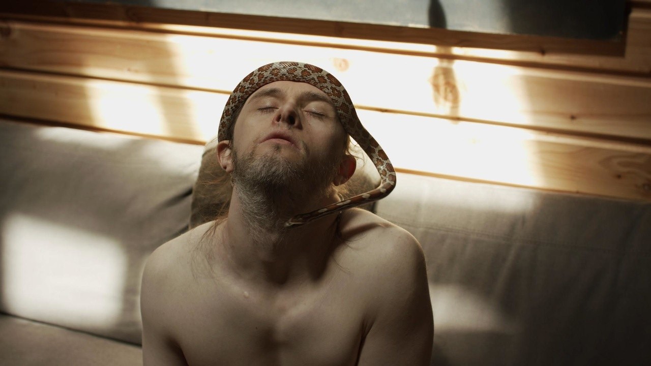 Image du film Théo et les métamorphoses