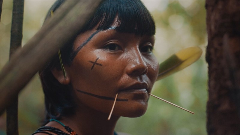 The Last Forest (2021) | MUBI