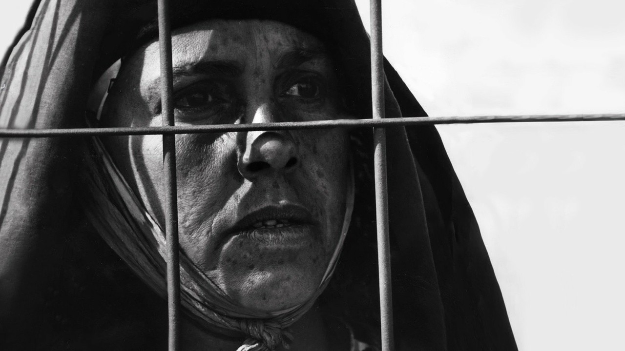 Image du film Le Vent des Aures