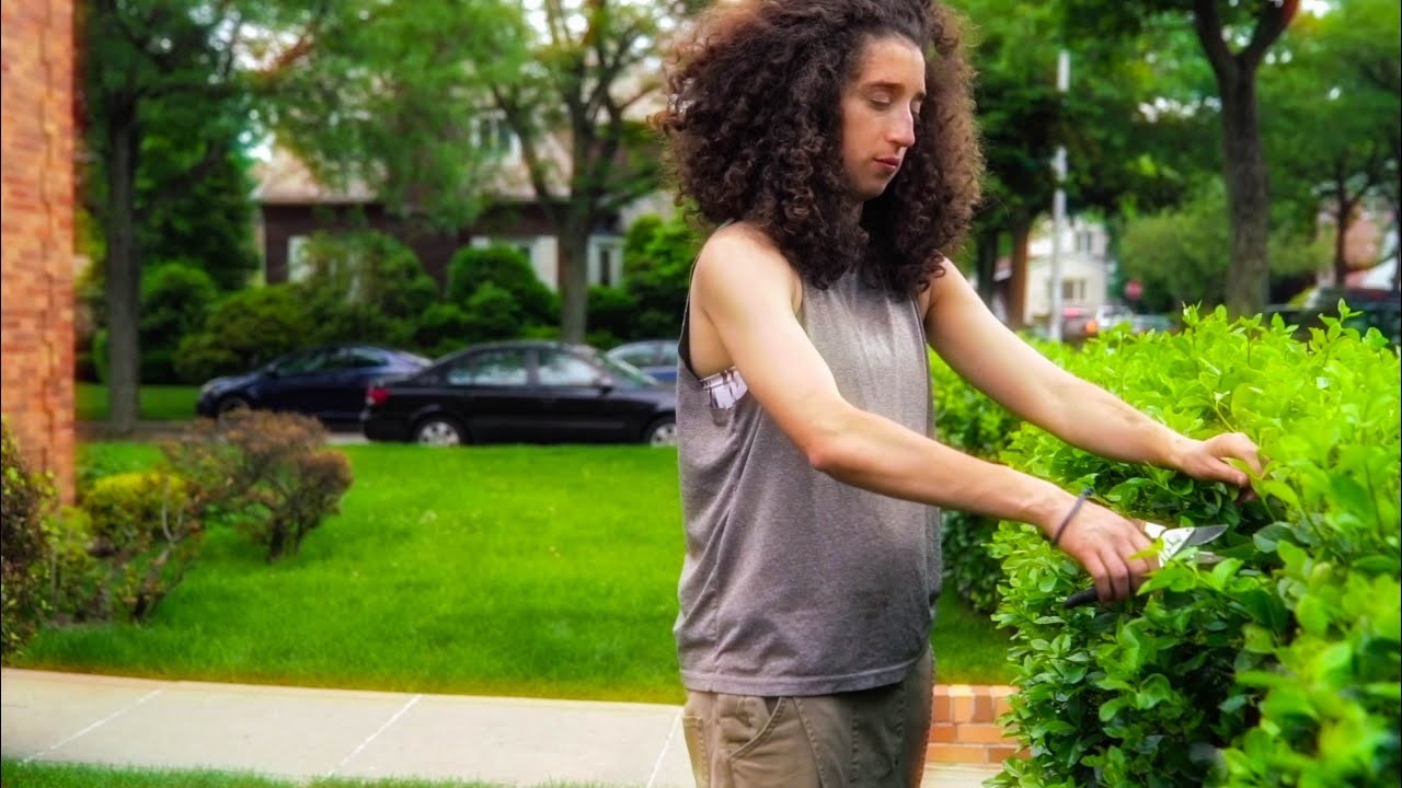 The Secret Gardener