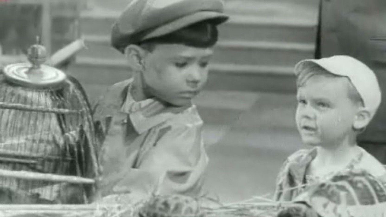Dimka (1963) | MUBI