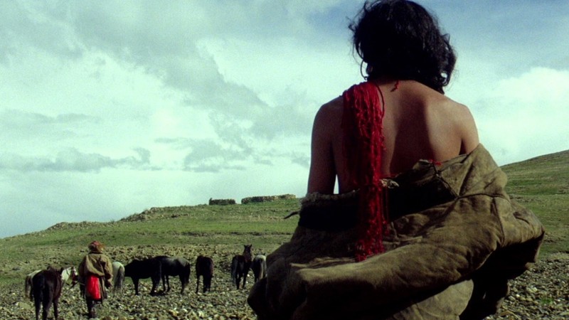The Horse Thief