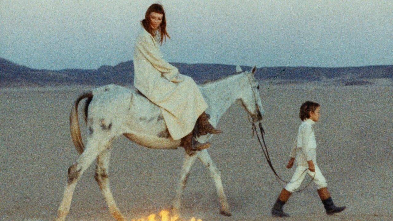 Image du film La Cicatrice intérieure