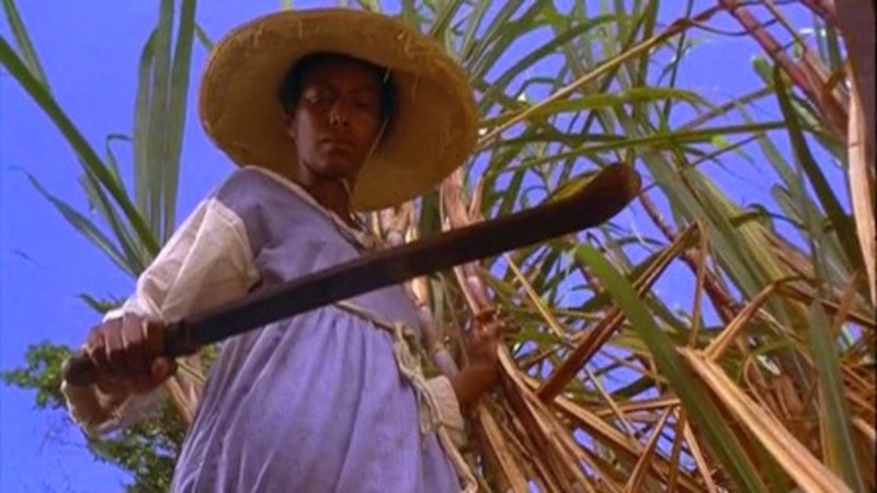 Sankofa