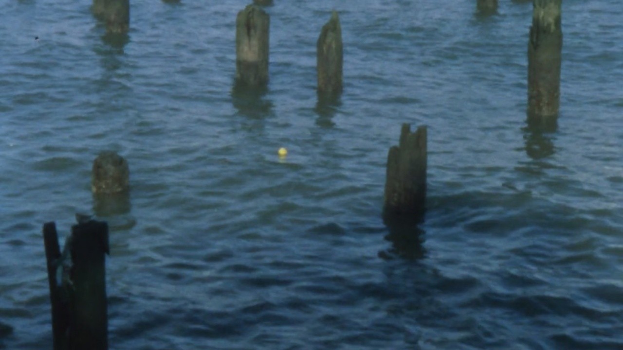 Things Floating in the Hudson