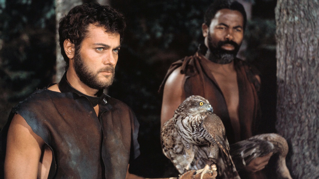 Image du film Les Vikings