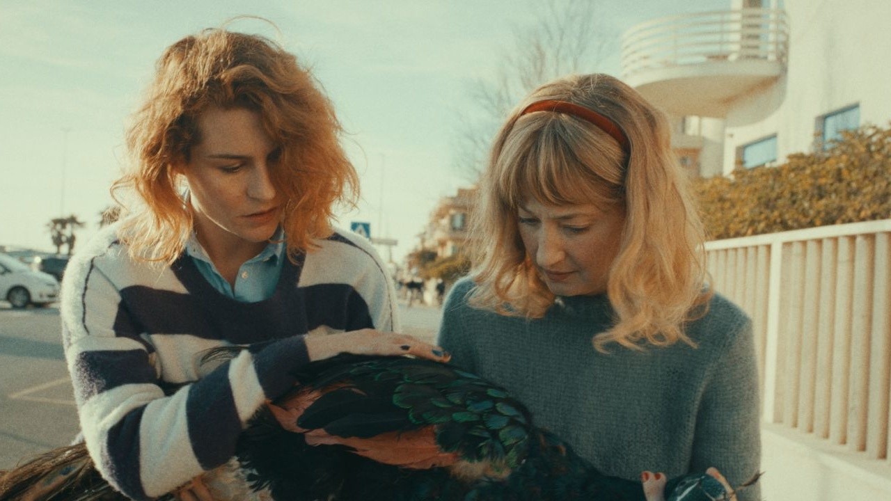 Image du film Il paradiso del pavone