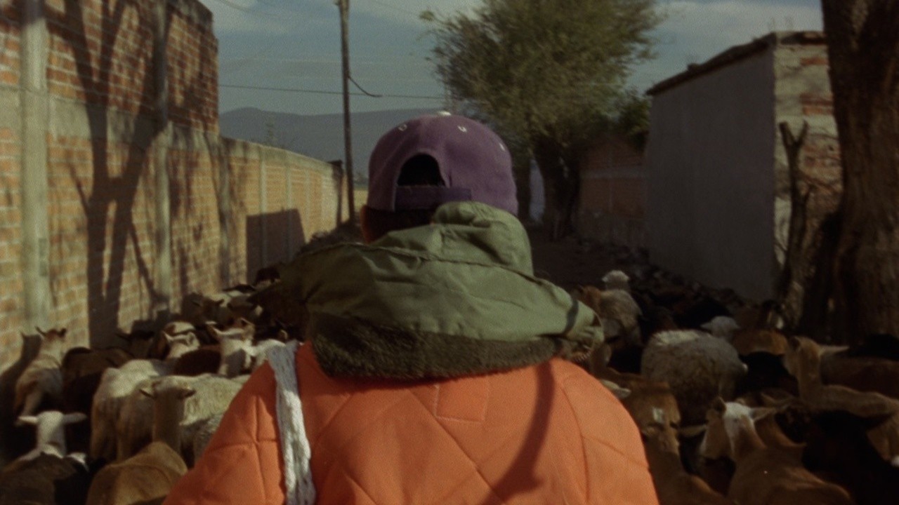 The Murmurs (2012) MUBI