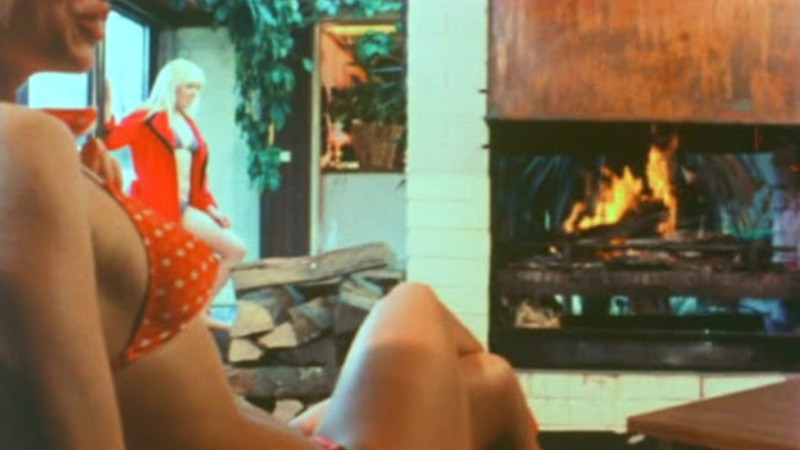 Playgirls of Munich 1977