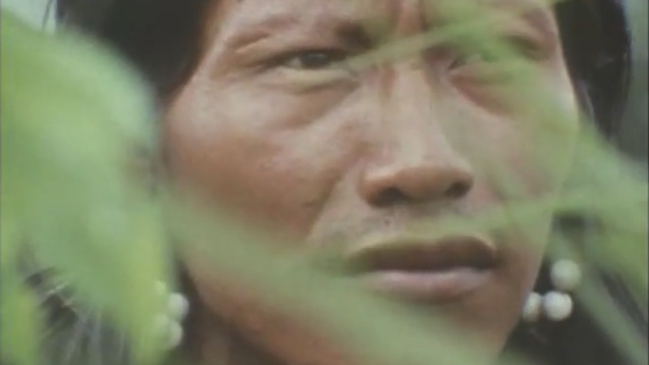 The Tribe That Hides From Man