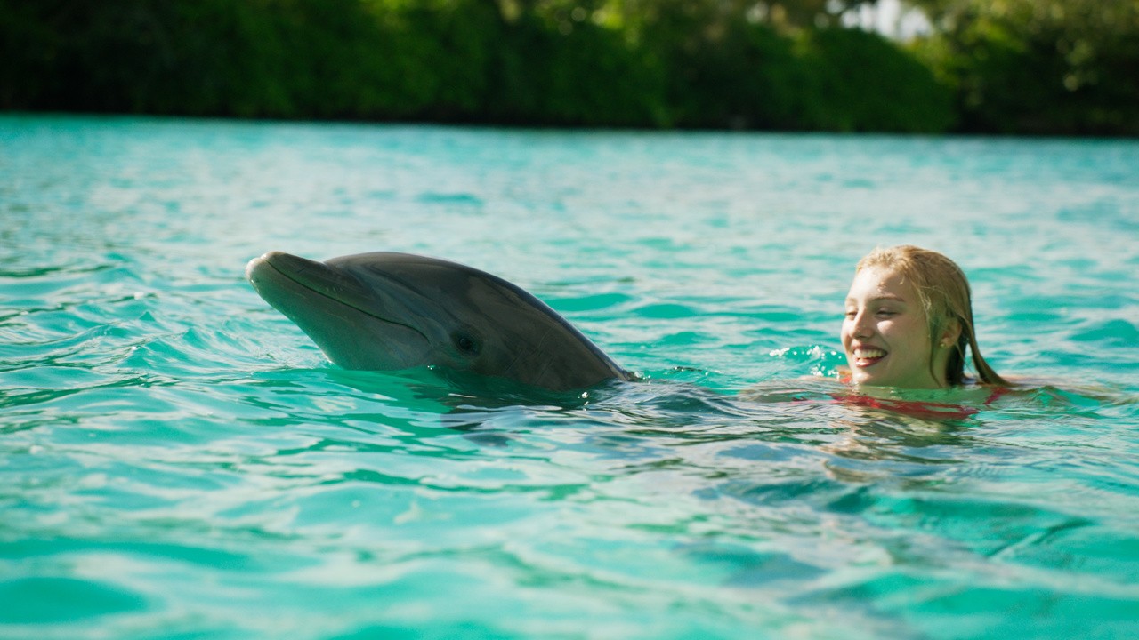 Dolphin Island