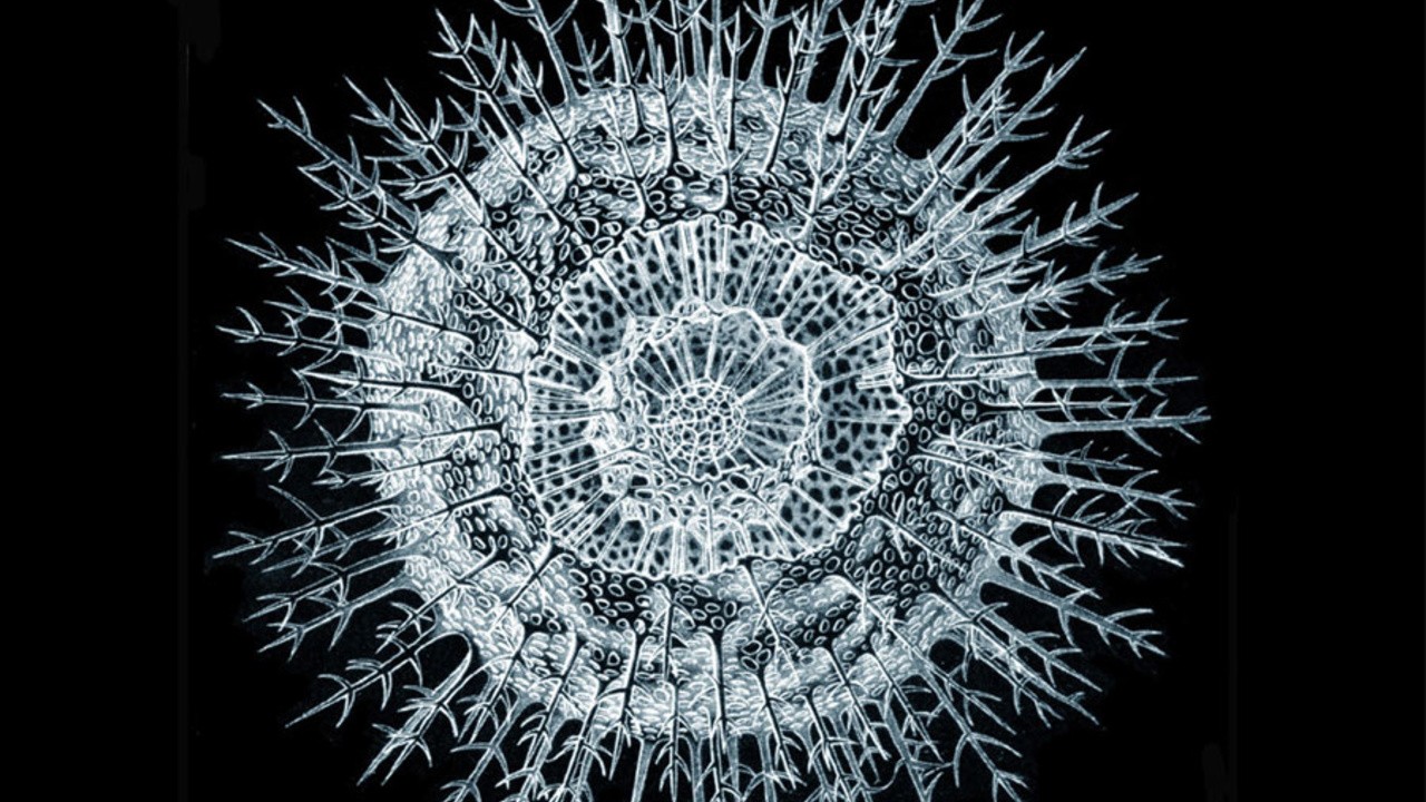 Proteus: A Nineteenth Century Vision