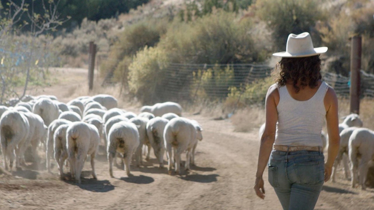 Shepherd's Song