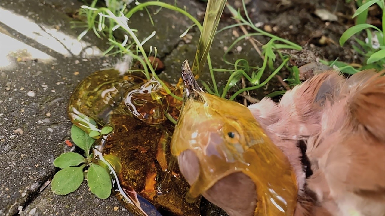 Re-dit-en-un-in-learning