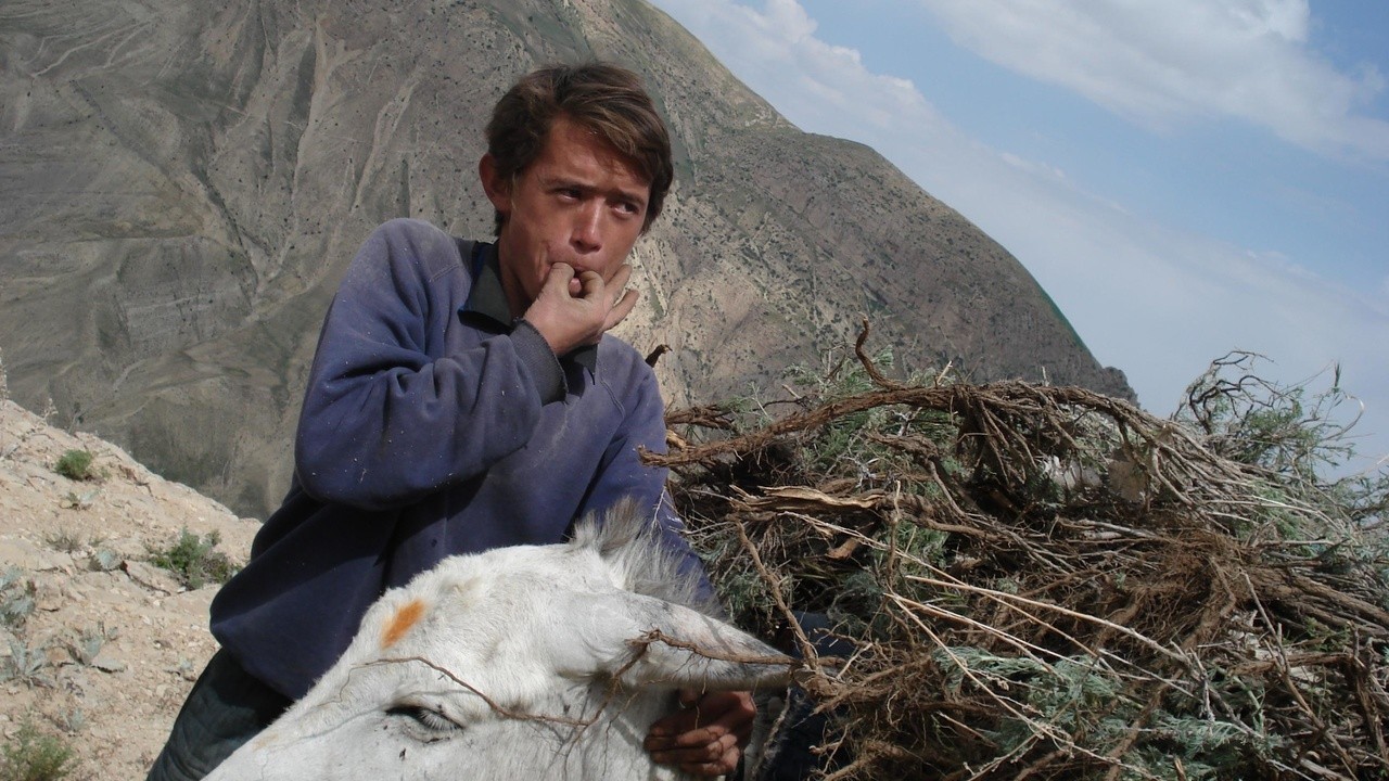 My Childhood, My Country: 20 Years in Afghanistan