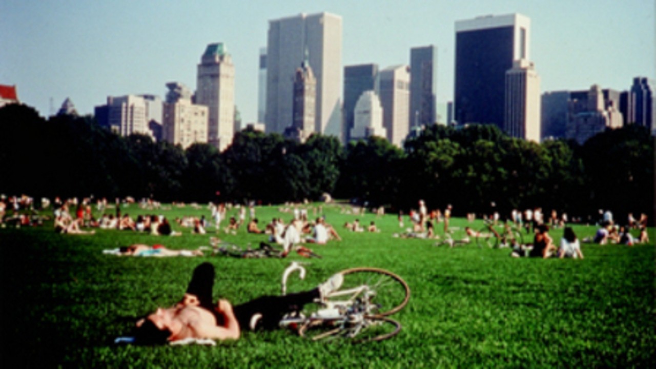 Image du film Central Park