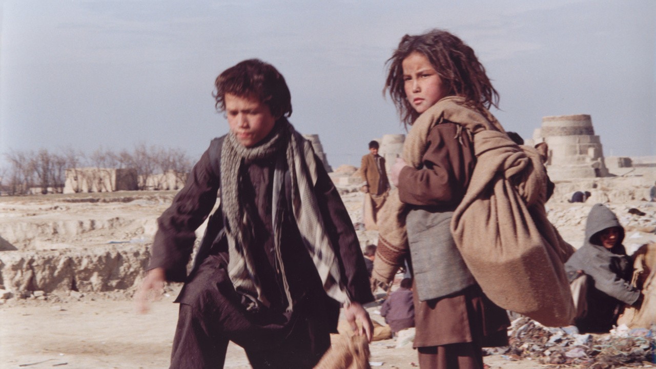 Image du film Chiens Egarés