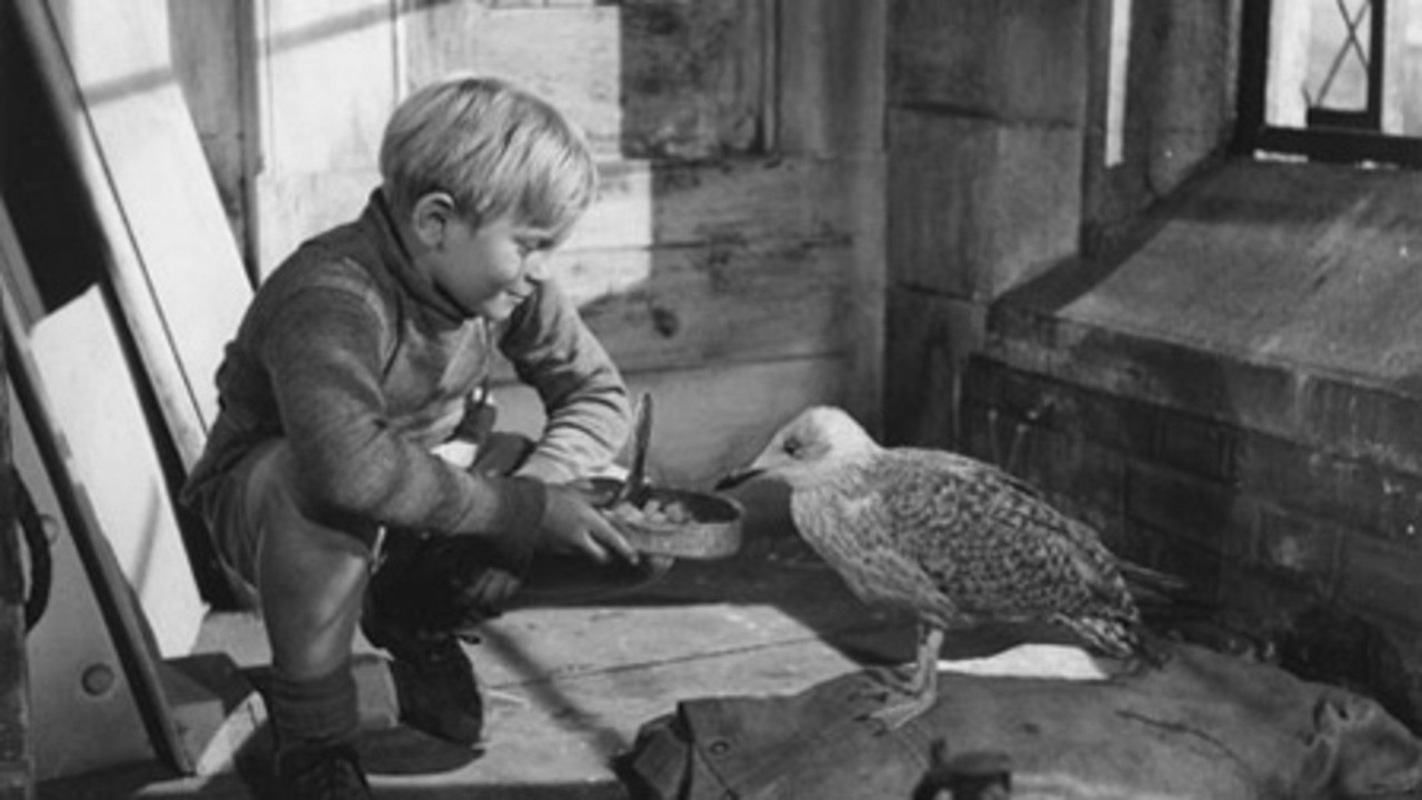 The Boy and the Bridge