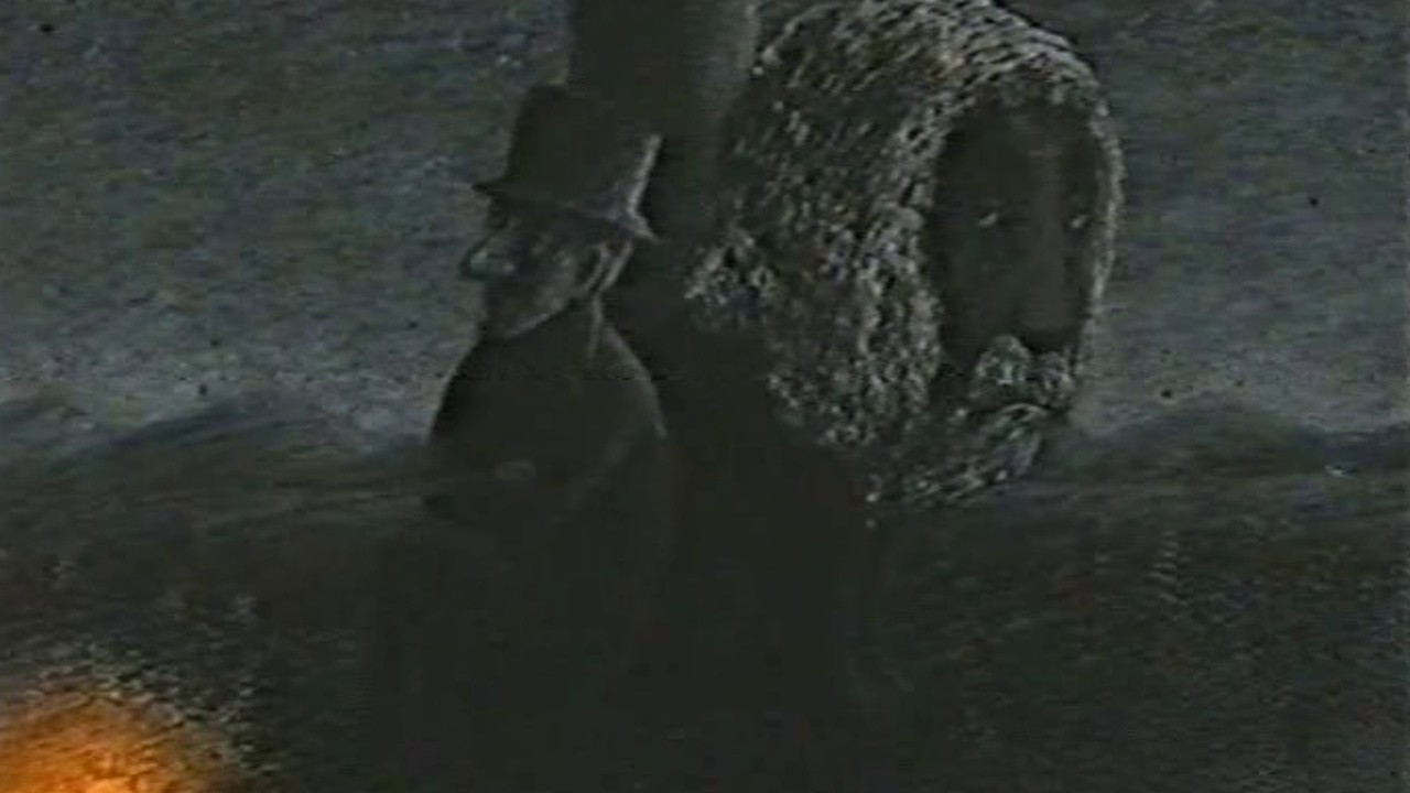 The Lion with the White Beard