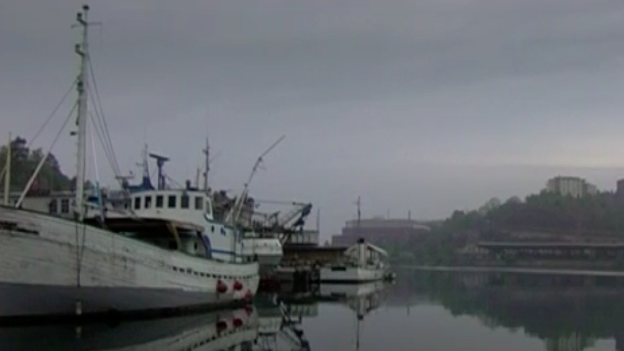 Ryssviken (2008) | MUBI