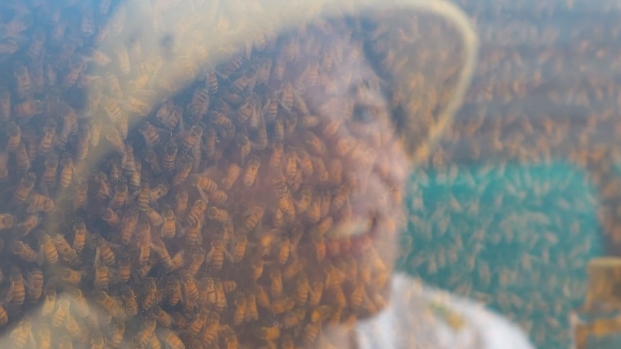 Raw Honey