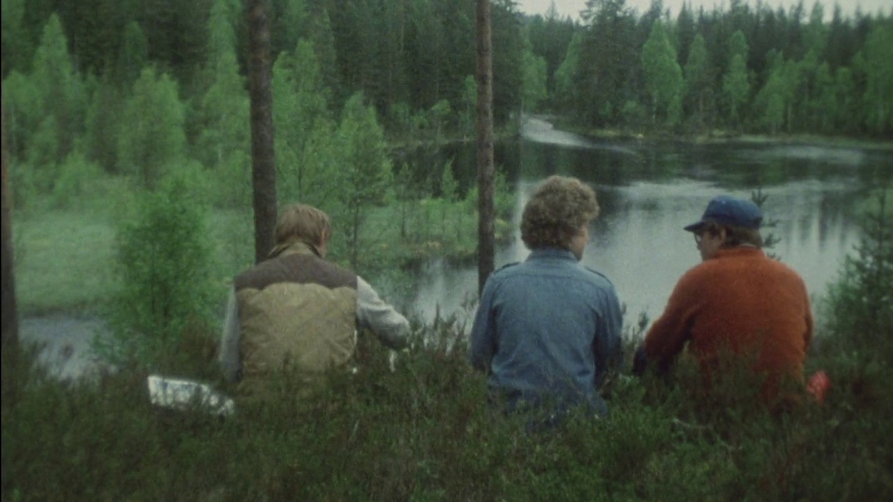 Nära jorden, nära skogen (1984) | MUBI