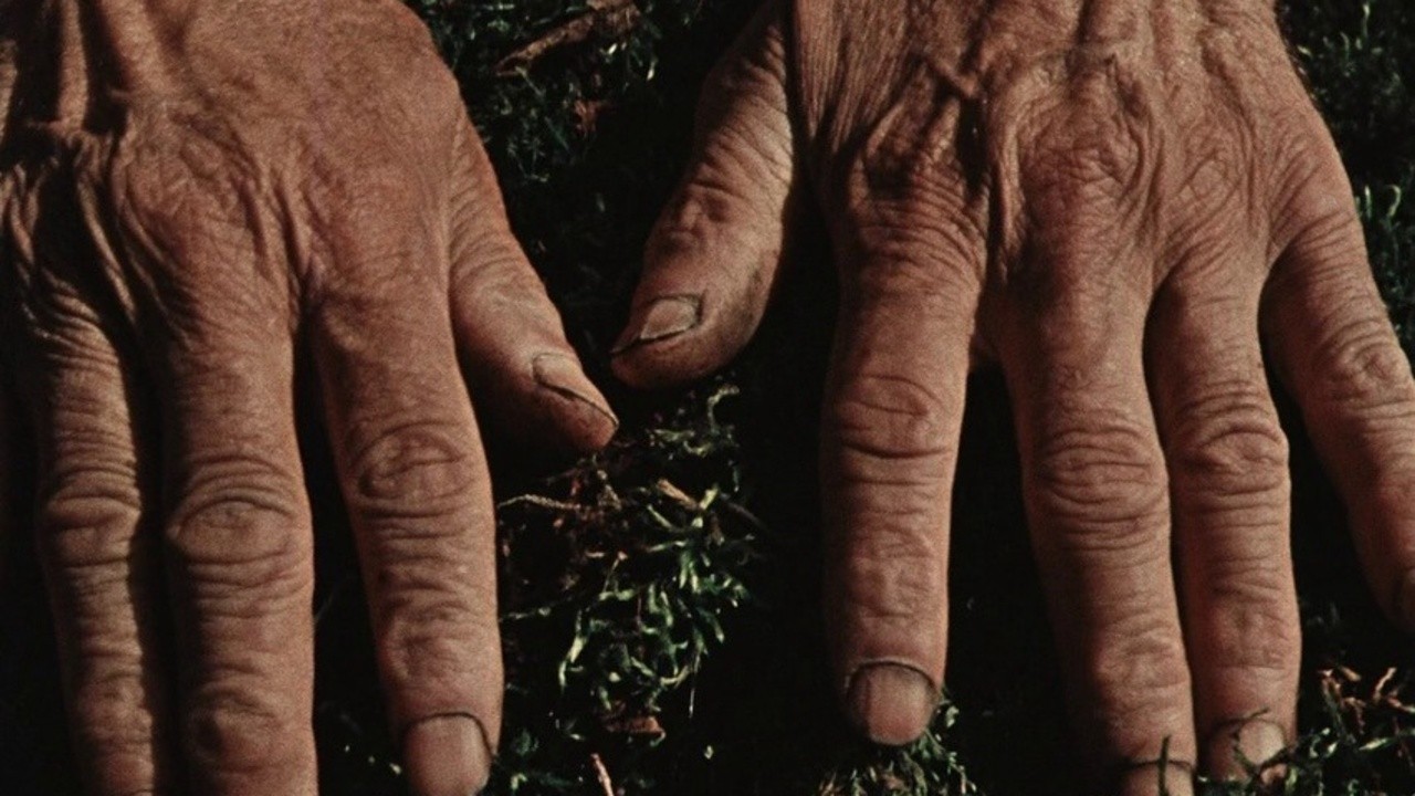 Image du film Le chant de la fleur introuvable
