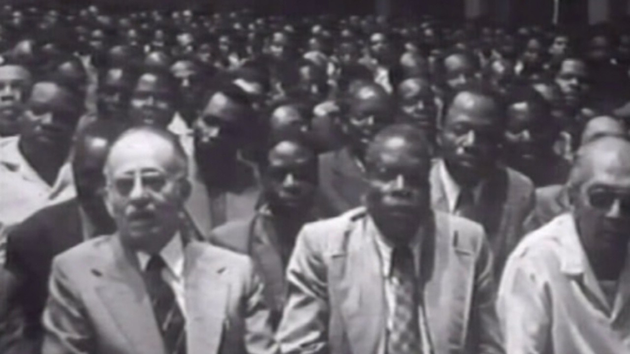 The Collaborators: Minute of a Decolonisation Process