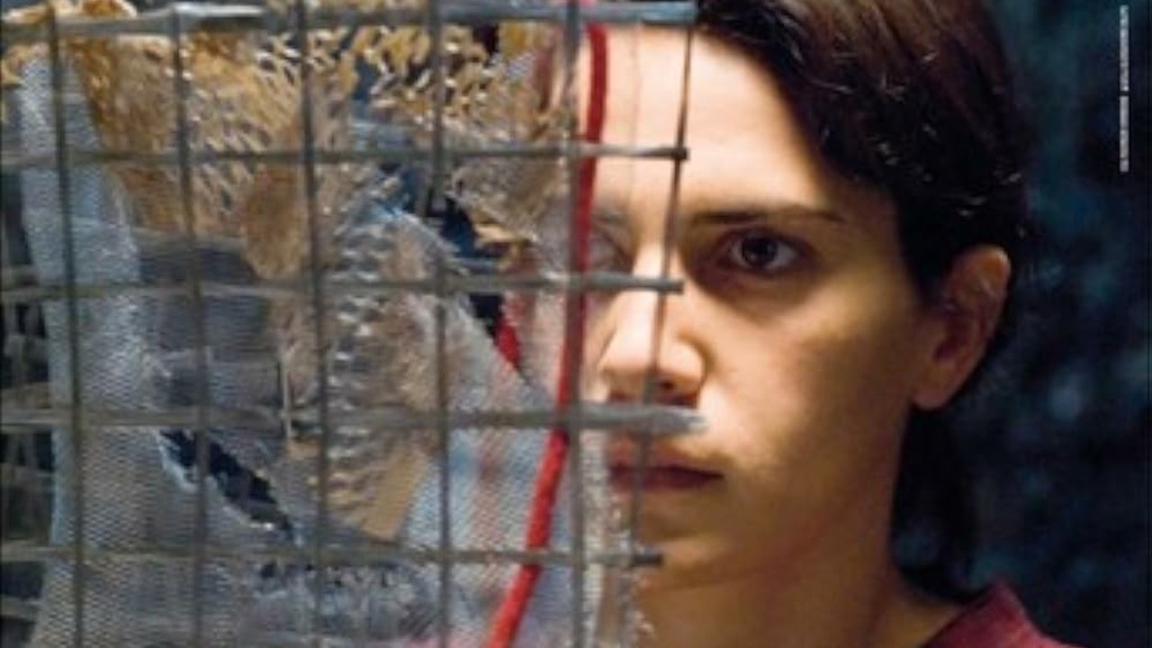 Image du film Stella, femme libre
