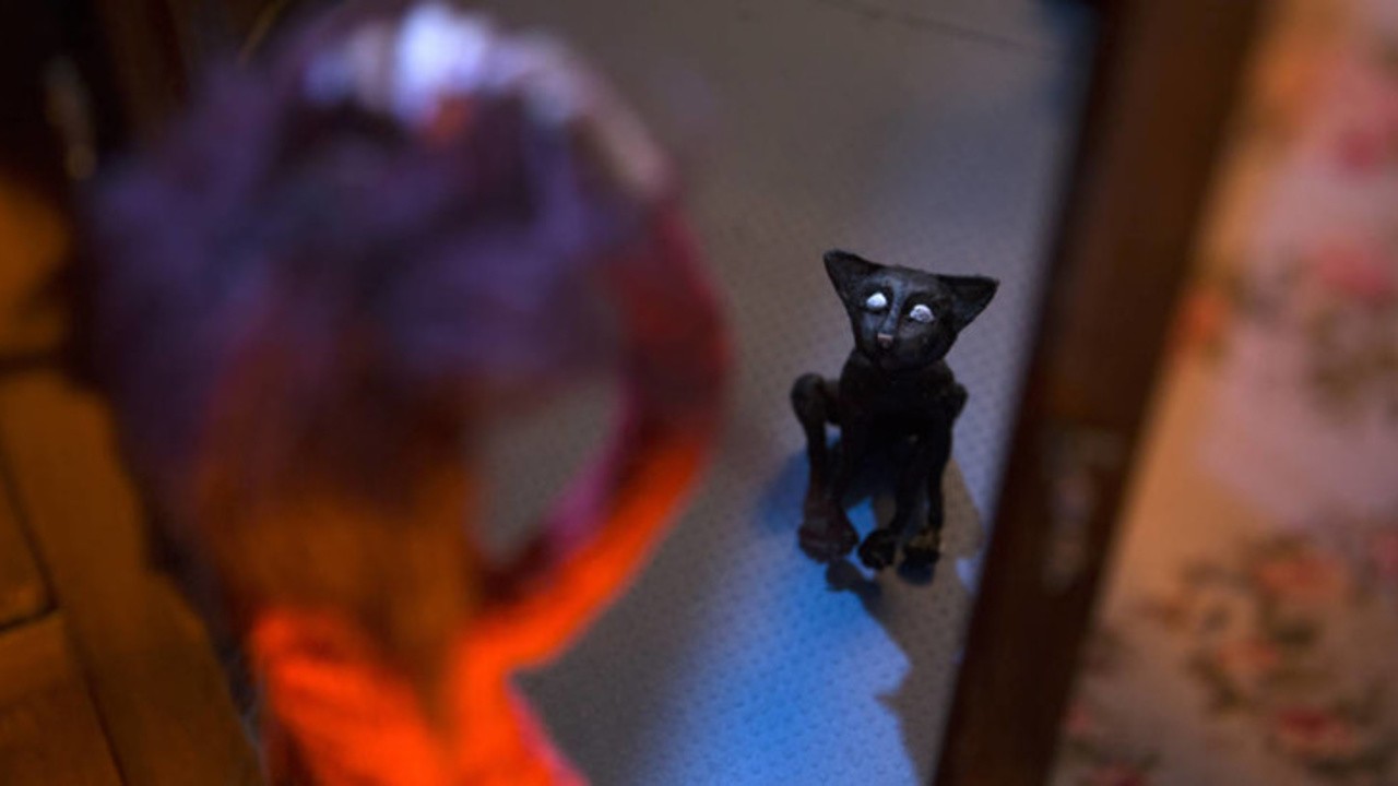 The Cat