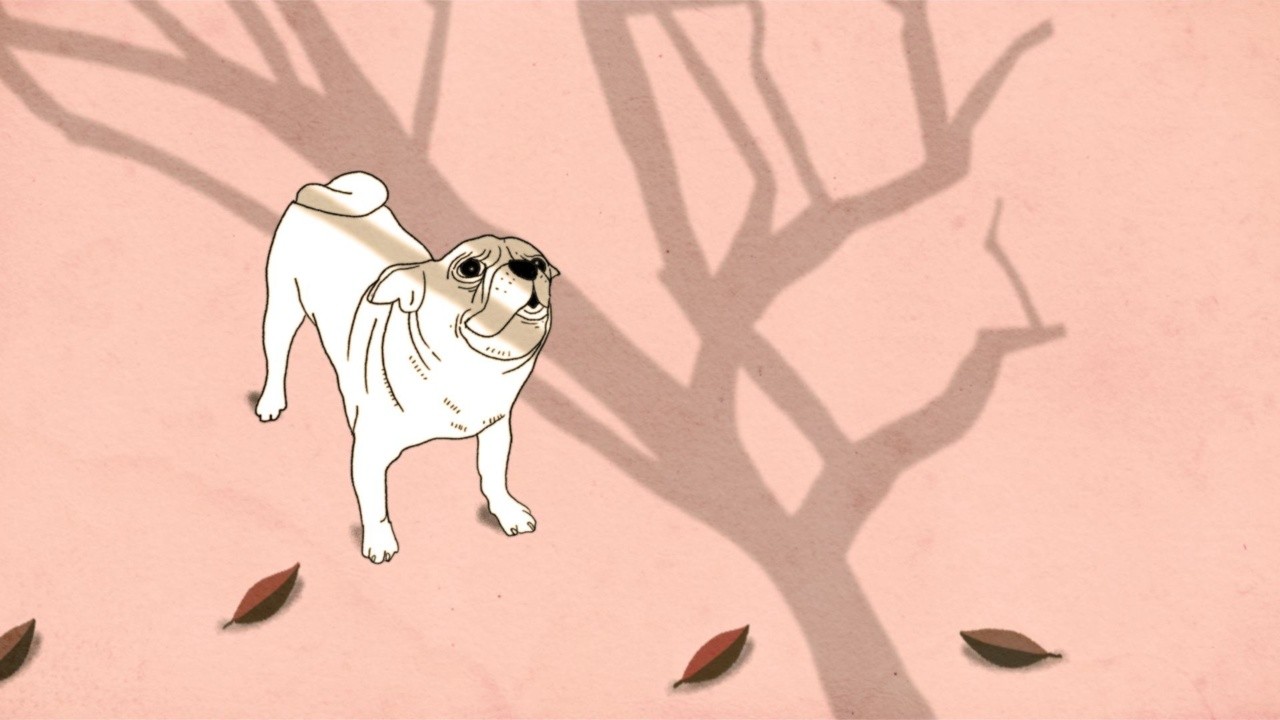 Old Dog