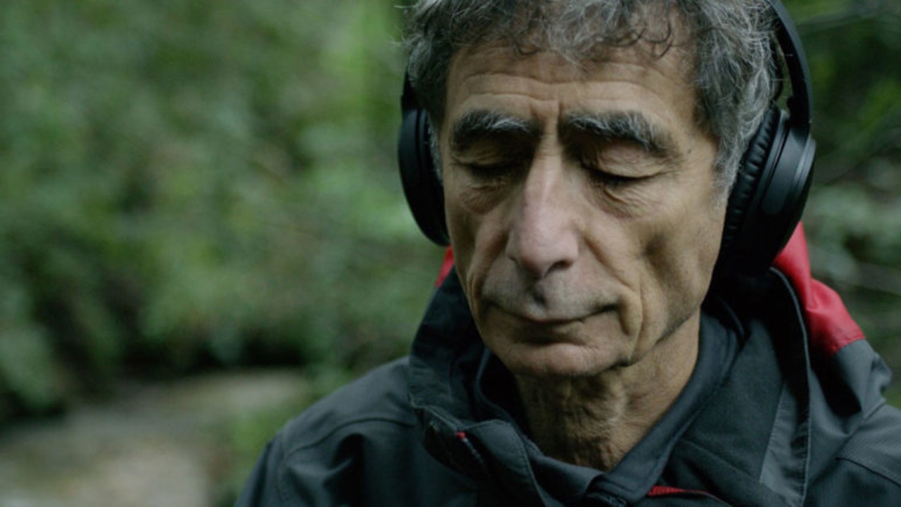 Image du film The Wisdom of Trauma