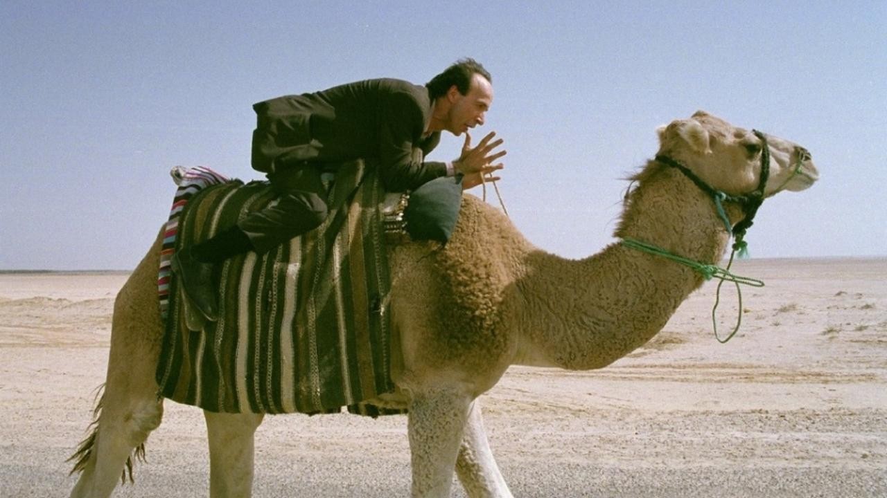 The Tiger and the Snow