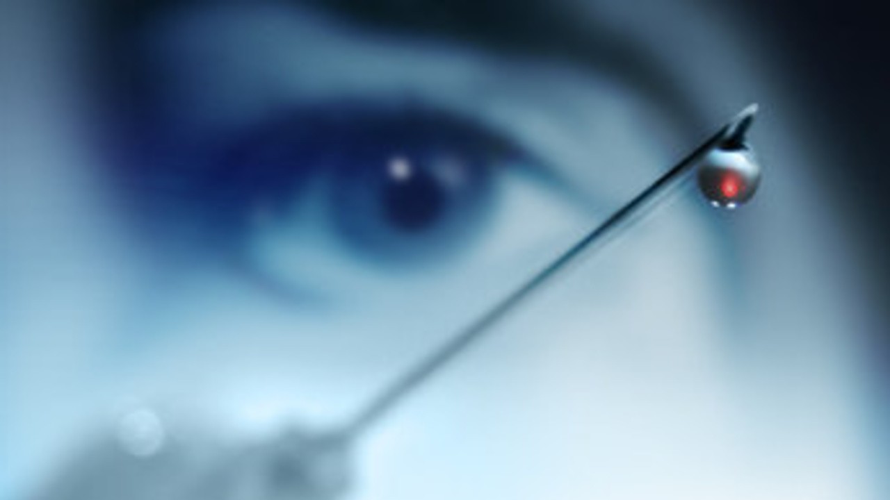 Splinter (2006) MUBI