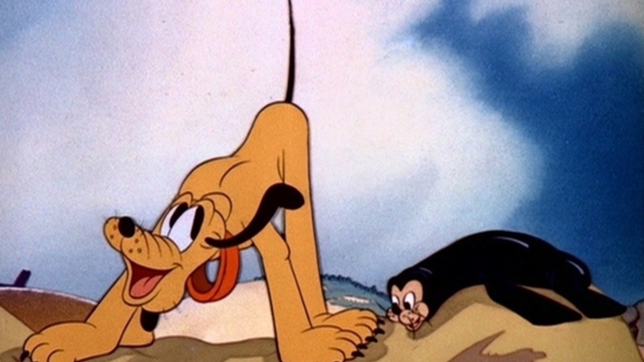 Pluto's Playmate