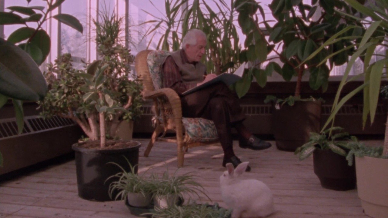 Harry In Wonderland 1990 Mubi