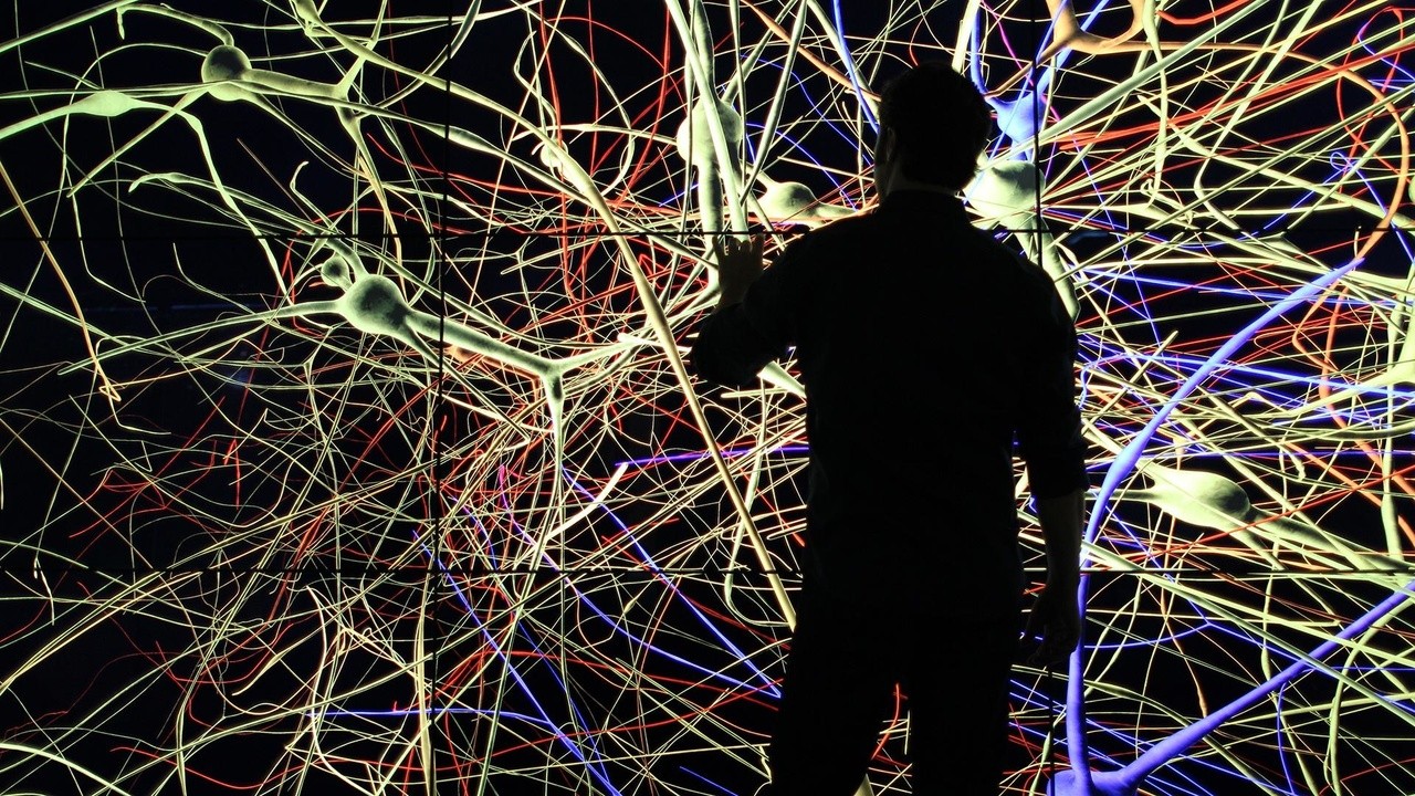 The Brain with David Eagleman