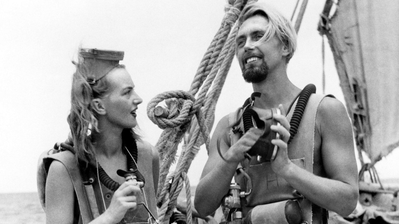 Abenteuer im Roten Meer
