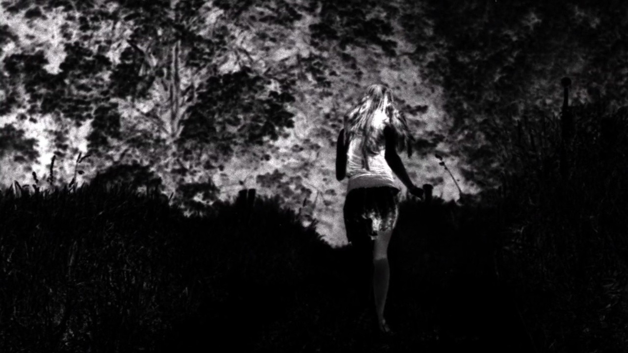 Into the Wild