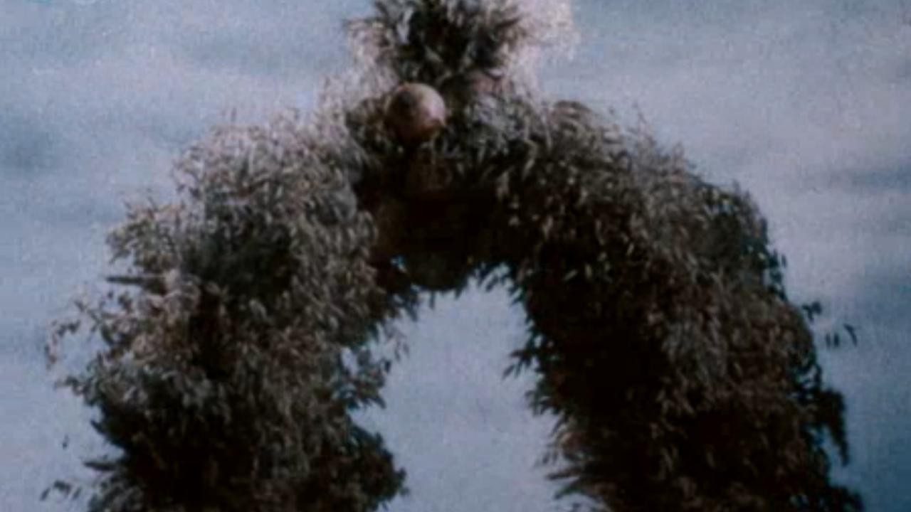 Image du film La Parade