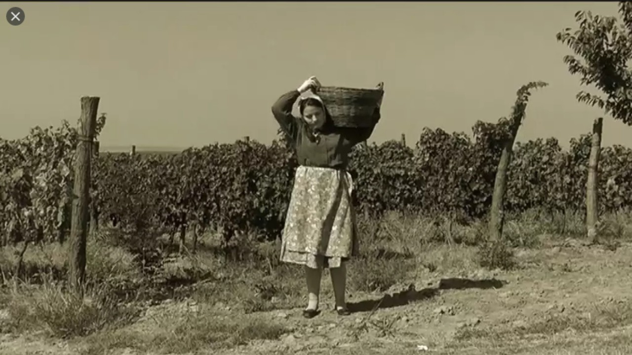 The Painter and the Grape Picker