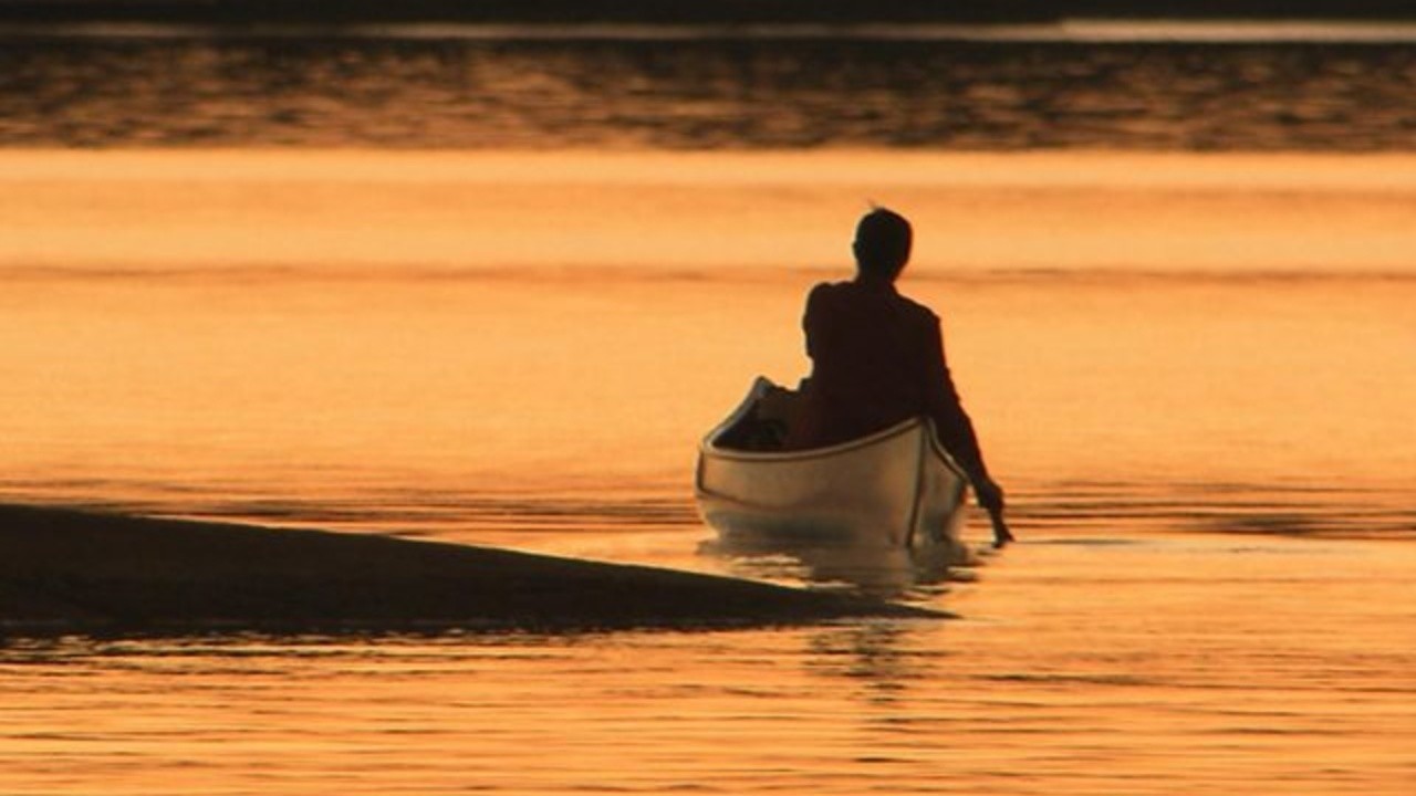 West Wind: The Vision of Tom Thomson