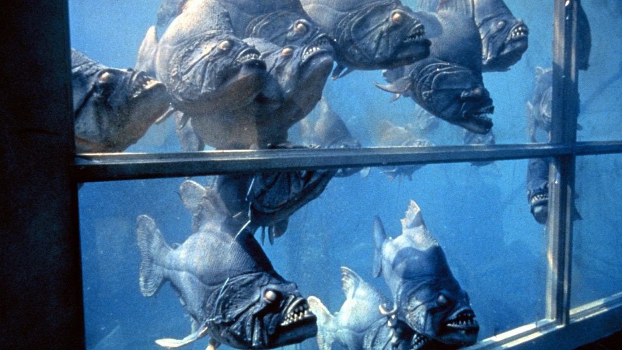 Image du film Piranhas